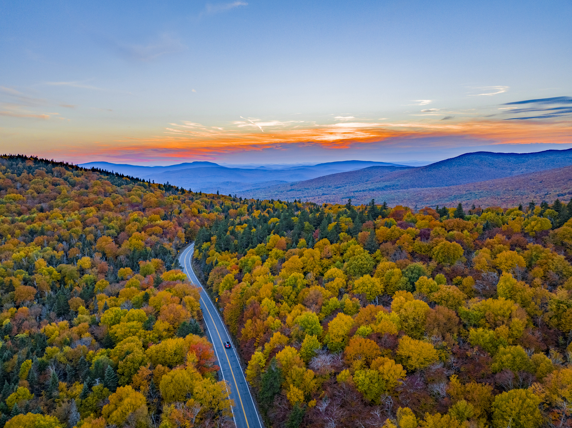 Vermont Woods