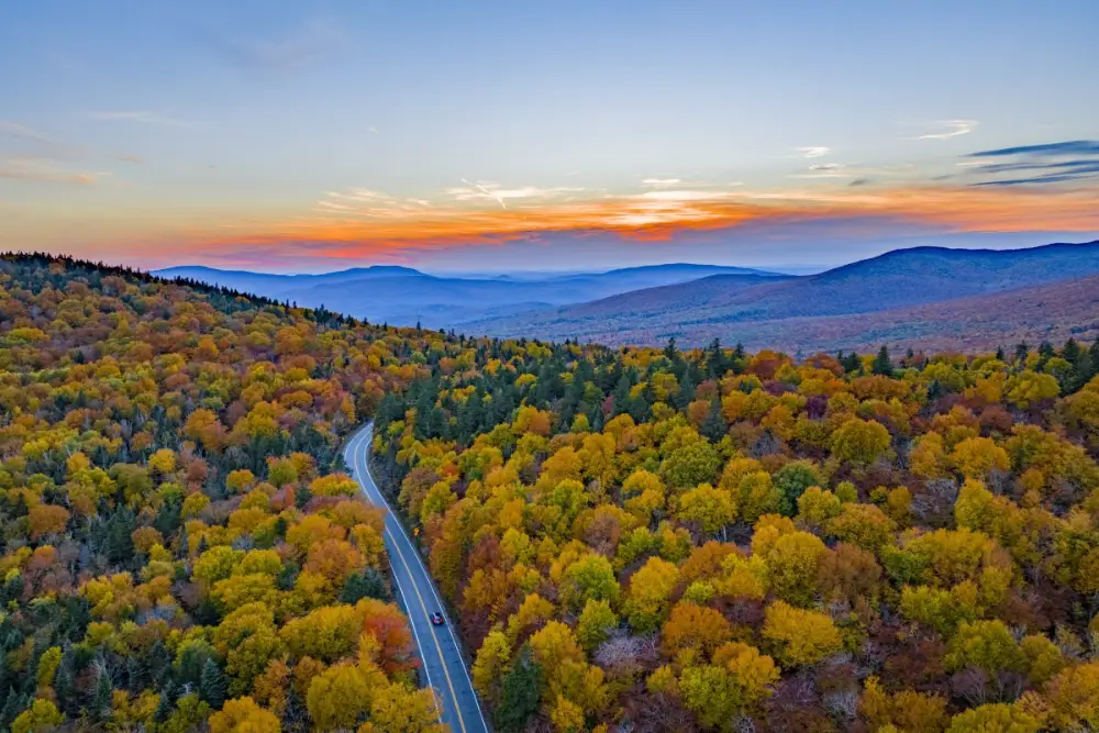 vermont woods