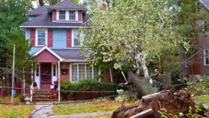 A fallen tree crushes the front of a house, illustrating a type of property damage claim.