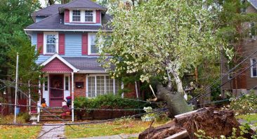 A fallen tree crushes the front of a house, illustrating a type of property damage claim.